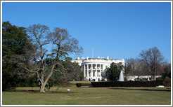 White House.